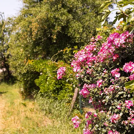 La Casa Dei Nonni לינה וארוחת בוקר