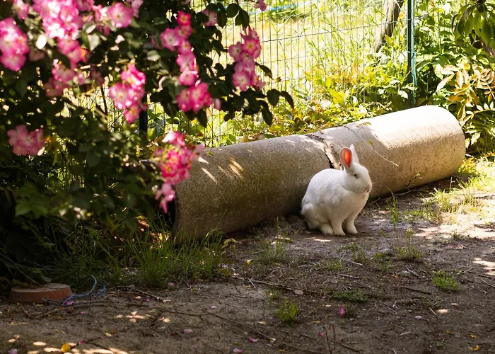 La Casa Dei Nonni 3*
