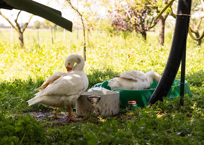 La Casa Dei Nonni 3*