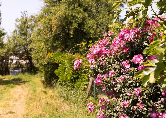 La Casa Dei Nonni לינה וארוחת בוקר